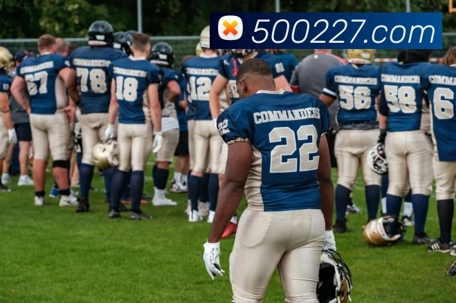多彩内容专区